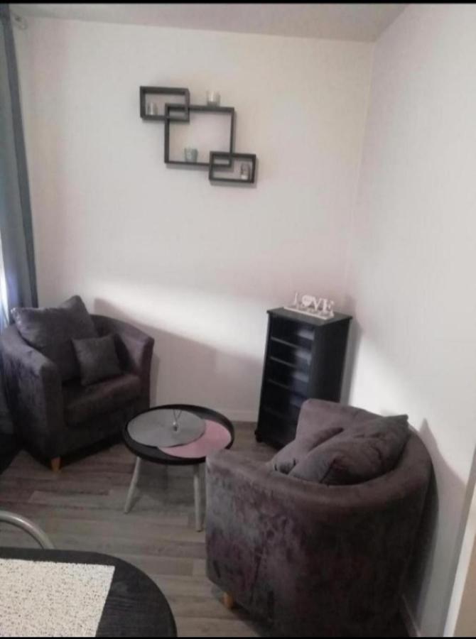 T1 Bis Calme Proche Centre Ville Appartement Saint-Etienne  Buitenkant foto